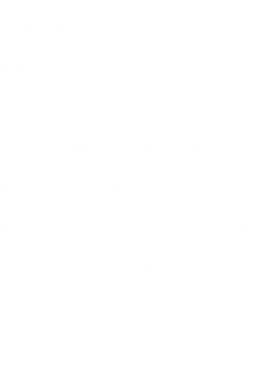 Scenariusz i reżyseria: Justyna Apolinarzak i Marta Ostajewska
Muzyka i udźwiękowienie: Suavas Lewy
2016 r. W filmie pojawiają się fragmenty rysunków i tekstów z notesów snów zapisanych przez łódzkich artystów. Artyści, którzy śnili: Agnieszka Chojnacka, Anka Leśniak, Aurelia Mandziuk, Beata Marcinkowska, Dagmara Horab, Ewa Bloom Kwiatkowska, Izabela Maciejewska, Joanna Szumacher, Justyna Apolinarzak, Kacper Bartczak, Maria Apoleika, Marta Ostajewska, Monika Czarska, Ola Kozioł, Paweł Hajncel, Roksana Kularska-Król, Sebastian Kularski, Suavas Lewy.