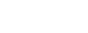 W animacji „Miasto snu" znalazły się rysunki z notesów zaproszonych artystów, fragmenty tekstów oraz odniesienia narracyjne do poszczególnych snów, wkomponowane w tkankę miasta.